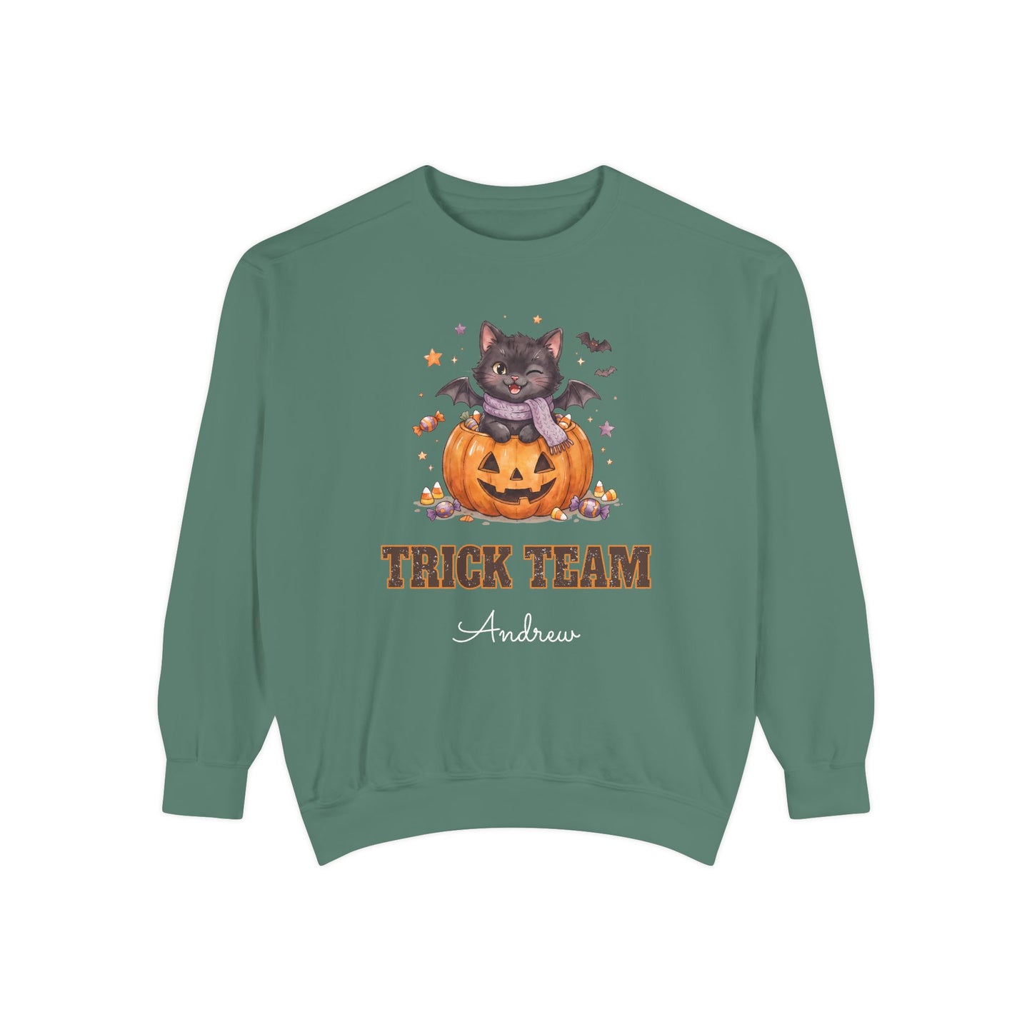 Trick Team: Winking Black Cat Halloween Sweatshirt