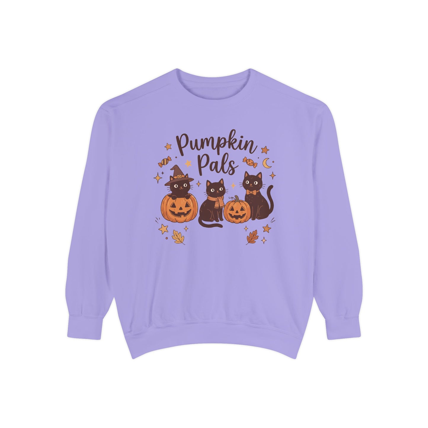 Pumpkin Pals: Halloween Black Cat Sweatshirt