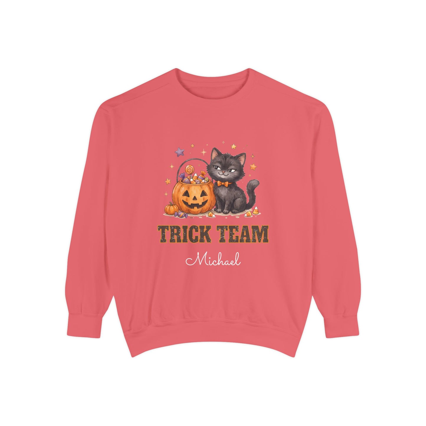 Trick Team: Sassy Black Cat Halloween Sweatshirt