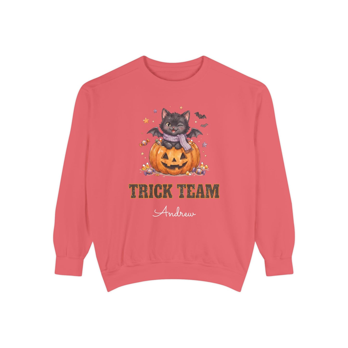 Trick Team: Winking Black Cat Halloween Sweatshirt