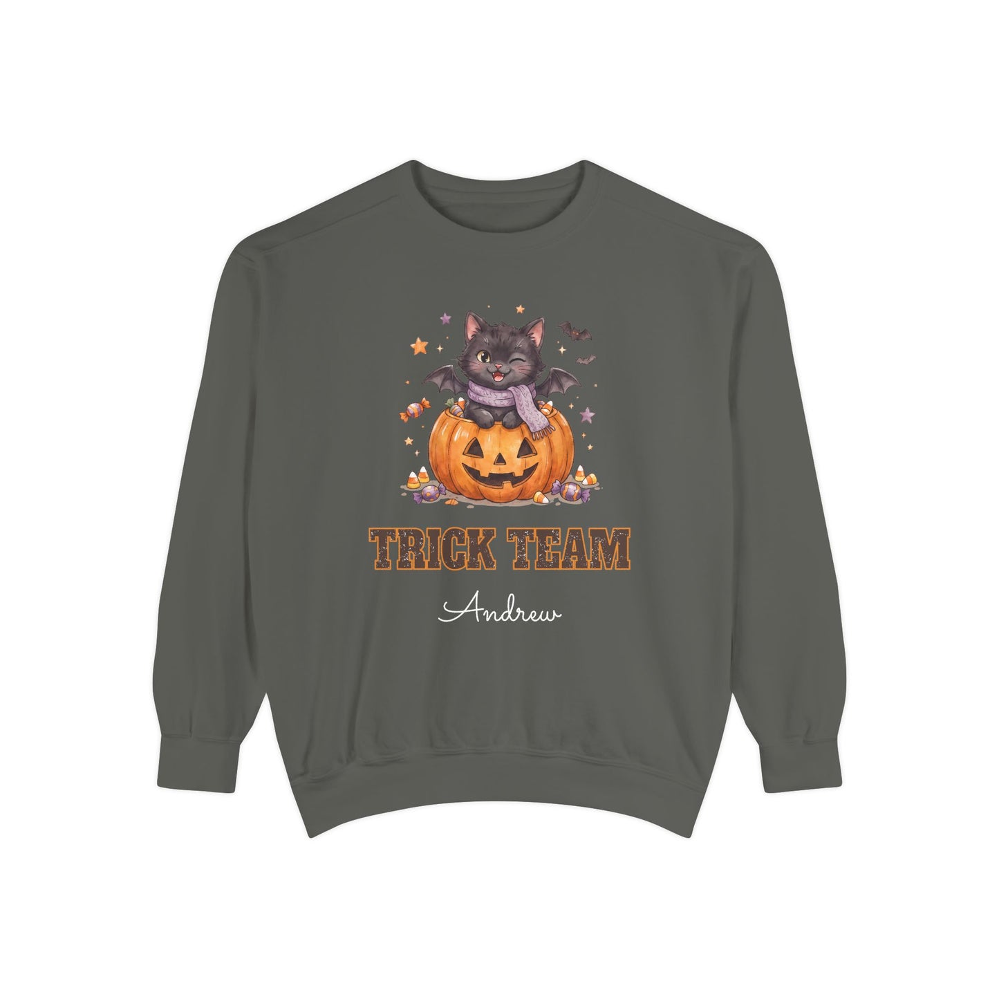 Trick Team: Winking Black Cat Halloween Sweatshirt