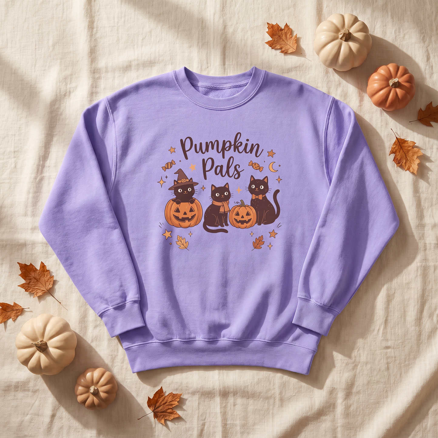 Pumpkin Pals: Halloween Black Cat Sweatshirt