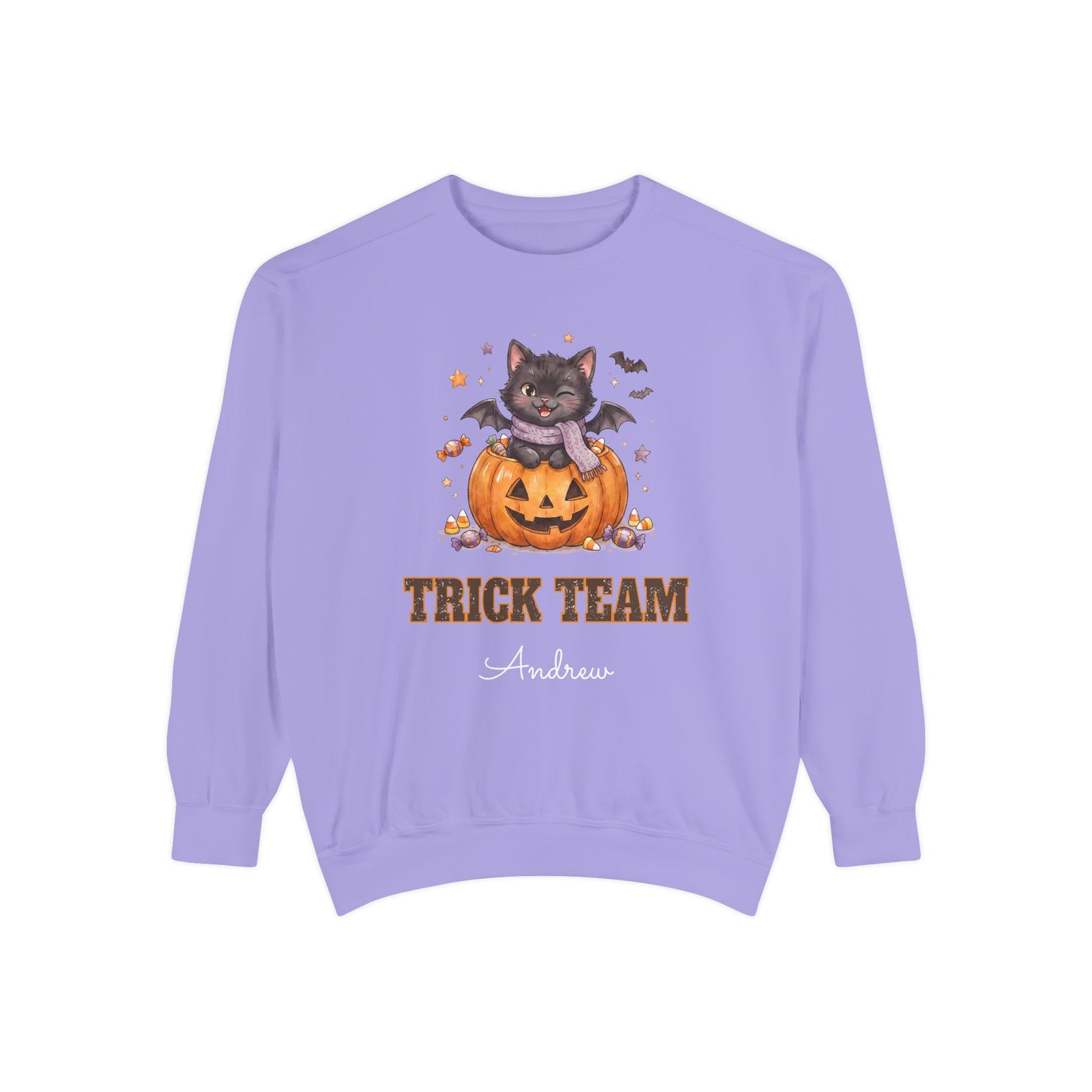 Trick Team: Winking Black Cat Halloween Sweatshirt