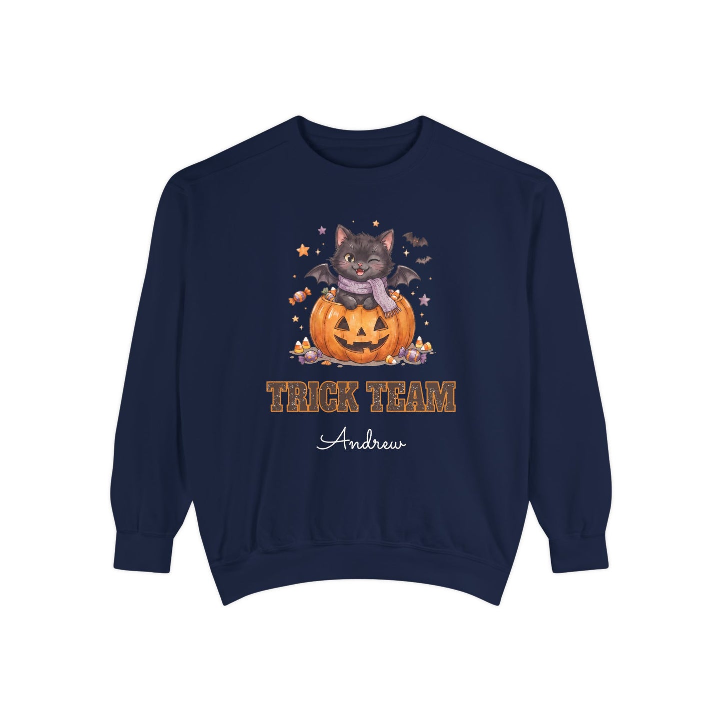 Trick Team: Winking Black Cat Halloween Sweatshirt